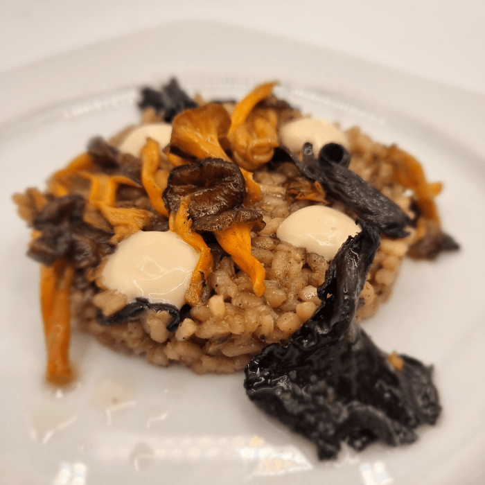 arroz buscasetas 2022