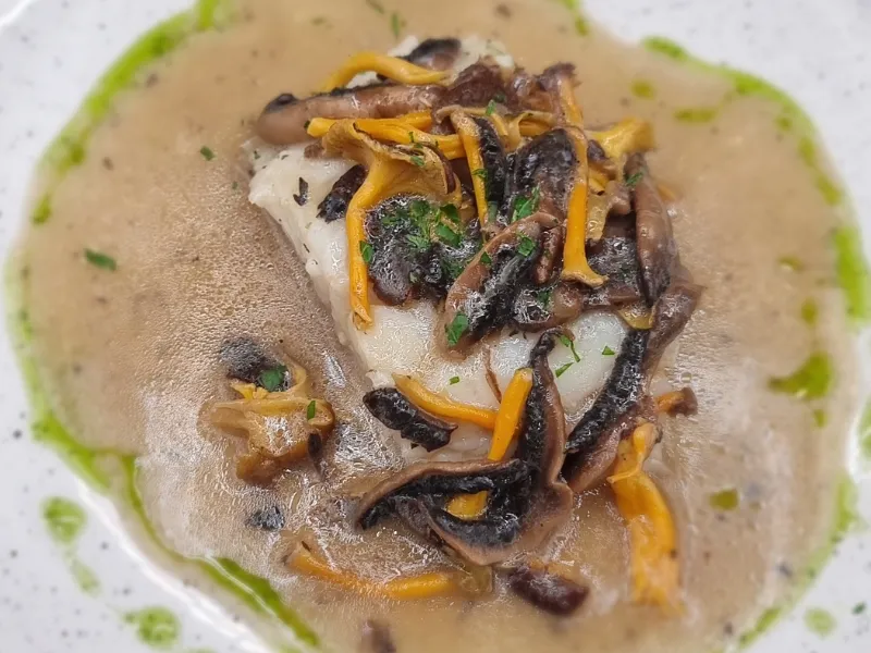 Jornadas Gastro Micológicas Buscasetas 2025